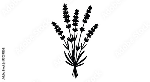 Simple black silhouette of lavender sprigs with detailed floral heads and stems