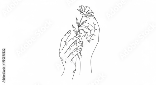 Delicate hands holding a small flower on transparent background