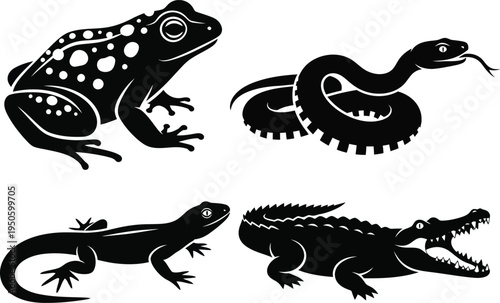 Obraz na płótnie Silhouette illustrations of four reptiles and amphibians