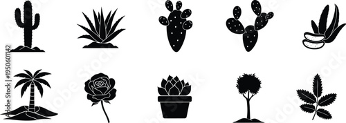 Plant silhouette icons collection with cactus aloe palm rose succulent leaf tree
