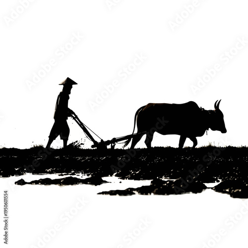 Man Plowing Field with Oxen Silhouette.