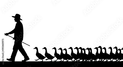 Man Walking with a Flock Geese.