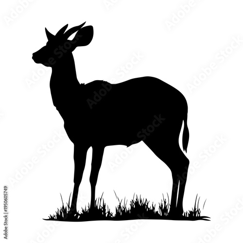 Bongo Antelope Standing in Grass Silhouette Vector Illustration