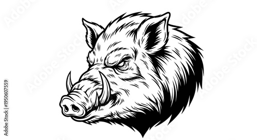 Angry Wild Boar Head Illustration Vector. Ferocious Hog Mascot with Powerful Tusks, Aggressive Wildlife Animal Design.