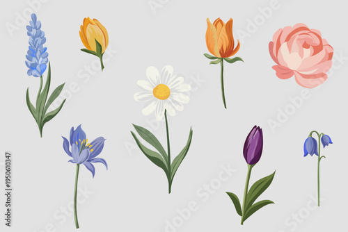 Vector collection of spring flowers including daisy, tulip, bluebell, and rose. Perfect for greeting cards, wedding invitations, and floral design.
