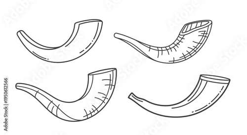 animal horns, black and white