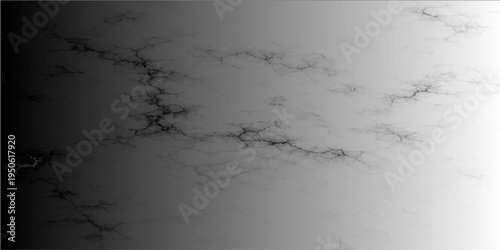 A minimalistic grayscale artwork showcasing the subtle intricacies of a network of textured lines. evoking the essence of natural formations, in abstract detail. 