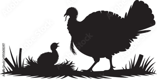 Adult and young wild turkey silhouettes standing in grass with a full fan tail