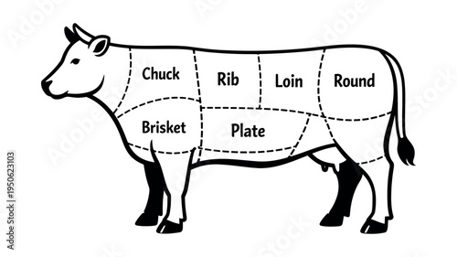 Cattle diagram displaying a black and white beef cuts chart, segmenting primal cuts like chuck, rib, loin, round, brisket, and plate