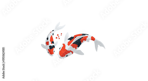 Two Colorful Koi Fish Swimming in Harmony
