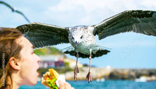 Seagull flying to a girl holding a sandwich, focus on the bird. AI