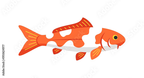 Vibrant Orange and White Koi Fish Swimming Gracefully in Clear Water