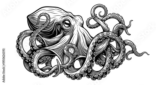 octopus tentacles illustration, black and white