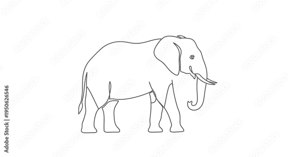 Obraz premium one line elephant drawing
