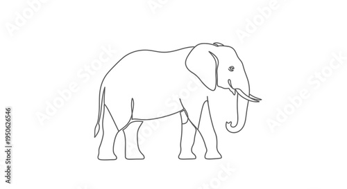 one line elephant drawing