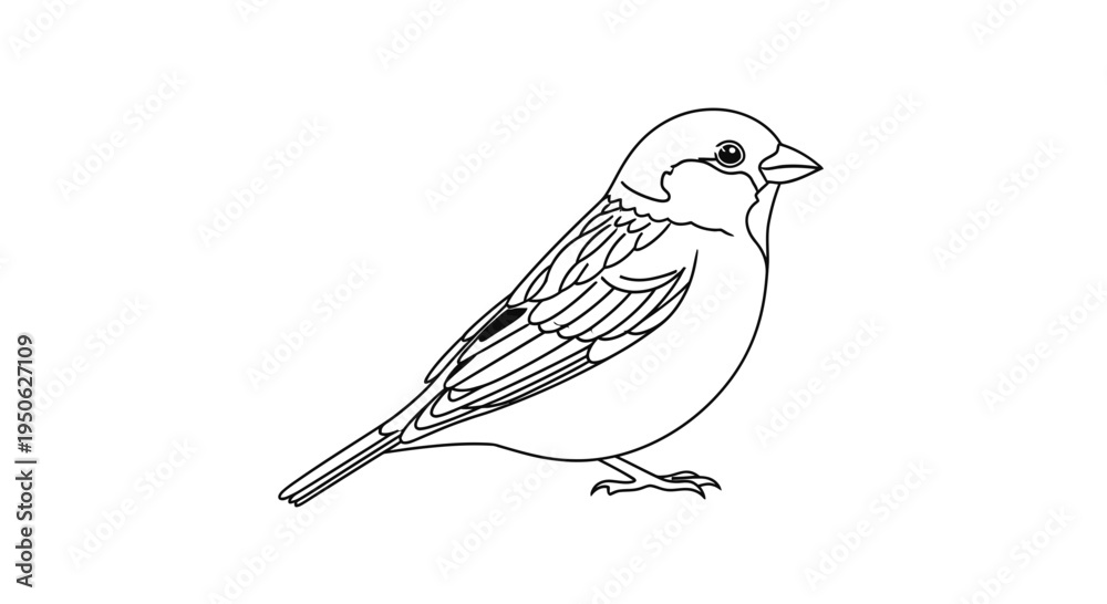 Fototapeta premium small bird illustration