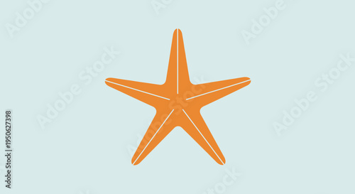 orange starfish on blue background