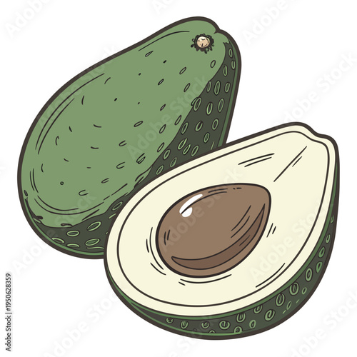 Whole and halved avocado on a white background fruit green