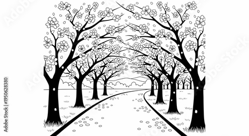 tree lined road, autumn landscape