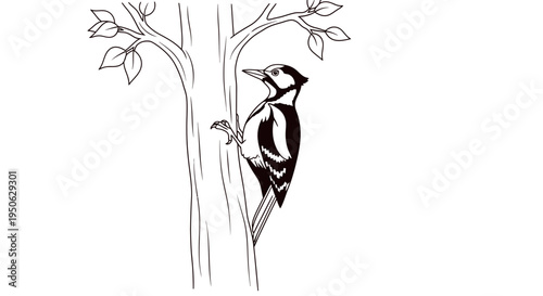 woodpecker on tree branch