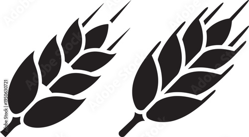Two black wheat grain icon silhouette