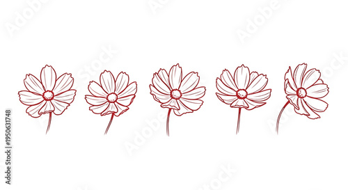 Set of 5 red flower icons vector
