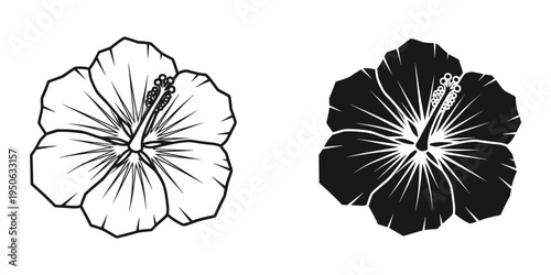 white and black plumeria flowers flat design vector illustration