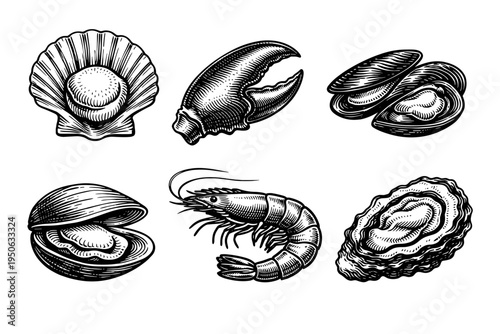 Vintage Engraving Style Seafood Collection Featuring Detailed Hand-Drawn Illustrations of Scallop, Lobster Claw, Mussels, Clam, Shrimp, and Oyster for Restaurant Menus, Culinary Branding, and Food