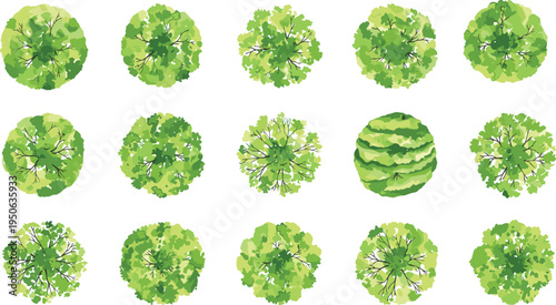 Top view green tree canopy collection for landscape plan, park and garden design elements isolated on white background