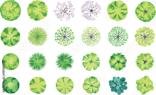 Top view trees and plants collection for landscape architecture plan, garden design elements and green vegetation aerial illustration set
