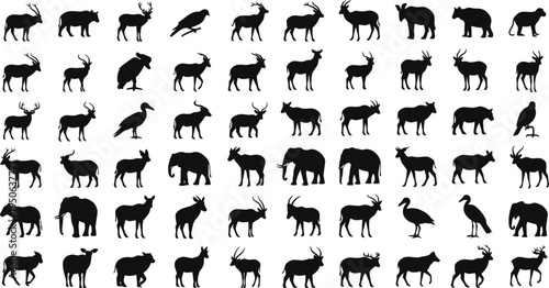 Collection of diverse animal silhouettes