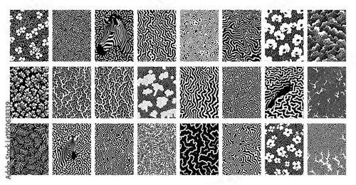 Big collection of abstract and natural seamless patterns Set of monochrome generative art textures floral and animal prints Vector backgrounds