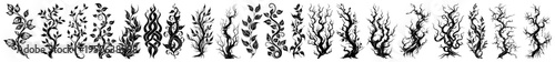 Hand drawn vine and branch vector set Collection of fantasy tree roots thorns and tribal tattoo elements