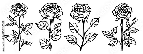 Rose Flower Stems Outline Icons Set Hand Drawn Floral Vector