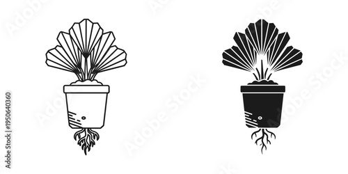 potted palm plant growth stages flat design vector illustration