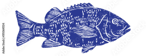 Indigo blue linocut fish vector illustration. Decorative sea bass or perch engraving with crosshatch scales texture. Vintage woodcut marine animal icon for seafood menu and rustic kitchen design