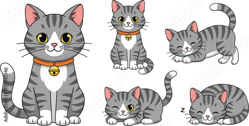 Cute gray tabby cat cartoon collection, adorable kitten poses with collar bell vector illustration set isolated on white