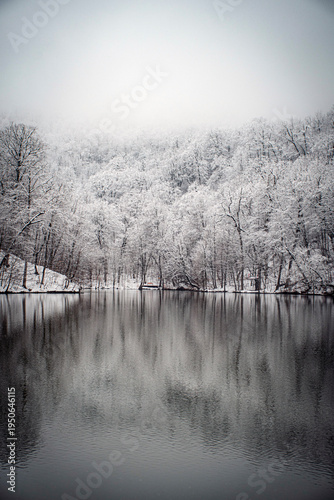 winter landscape with lake