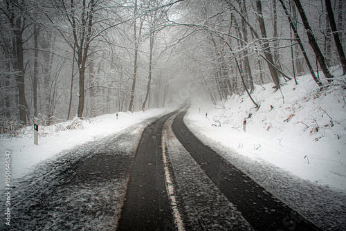winter road in the forest