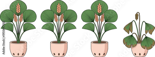 Potted houseplant collection illustration, decorative indoor tropical plant in ceramic pot vector set, home decor botanical design isolated