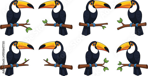 Toucan cartoon bird collection, colorful tropical toucan sitting on branch vector illustration set isolated on white background