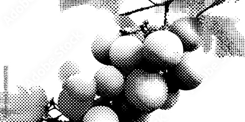 Black and white grapes cluster halftone design for posters and prints