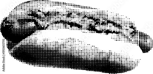 Classic halftone black and white hot dog sandwich illustration for design