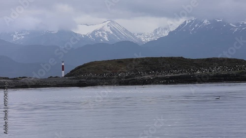 A large colony of cormorants on an island where the lighthouse is located in the Beagle Channel; the island contrasts with the large mountains in the background.