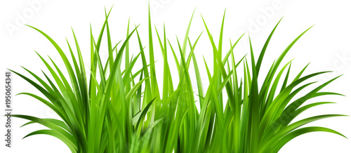 Realistic green grass. Bushes of fresh greens. Spring meadow. Summer lawn. Glade with plants. Nature landscape vector illustration.