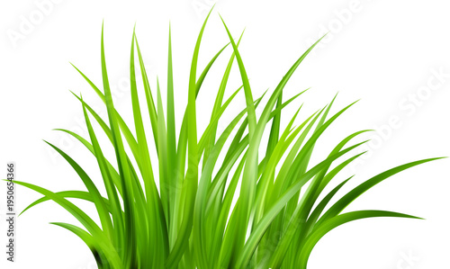 Realistic green grass. Bushes of fresh greens. Spring meadow. Summer lawn. Glade with plants. Nature landscape vector illustration.