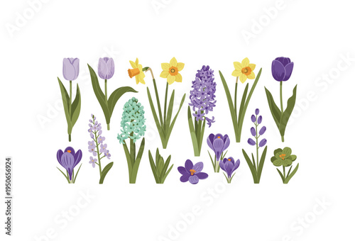 A beautiful and diverse vector illustration set showcasing a collection of colorful spring flowers including vibrant tulips, cheerful daffodils, delicate hyacinths, and charming crocuses