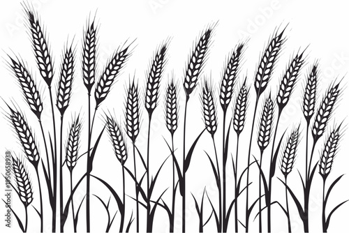 A black and white illustration of several wheat stalks standing together