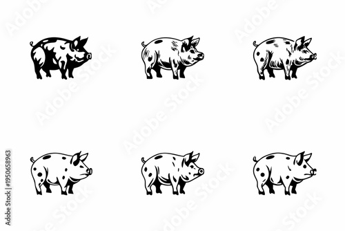A collection of six black and white pig illustrations in a grid format