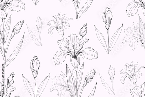 Delicate floral pattern featuring hand drawn iris blooms and budding stems